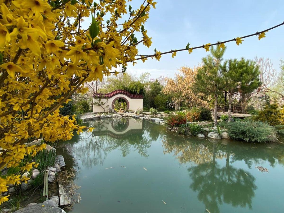 Uzumfermer Hotel & Winery Tashkent Exterior photo